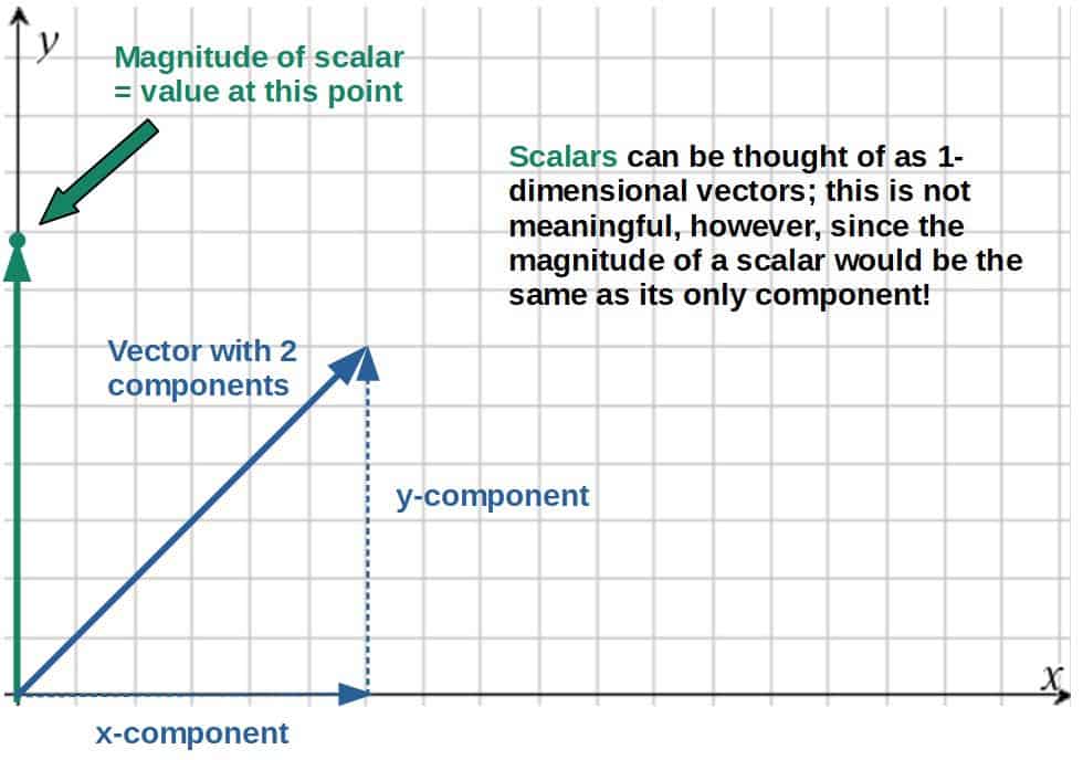 magnitude physics